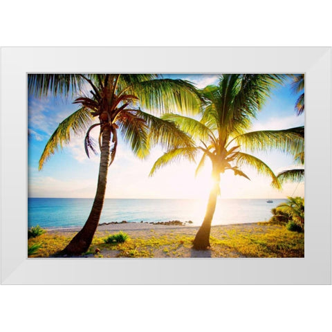 New Bimini White Modern Wood Framed Art Print by Bryant, Susan