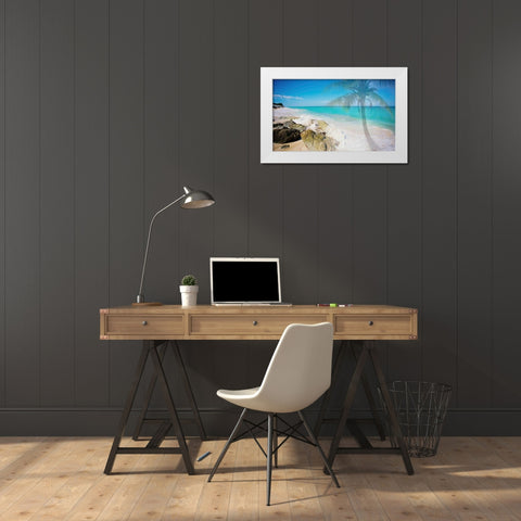 Palm By The Rocks White Modern Wood Framed Art Print by Bryant, Susan