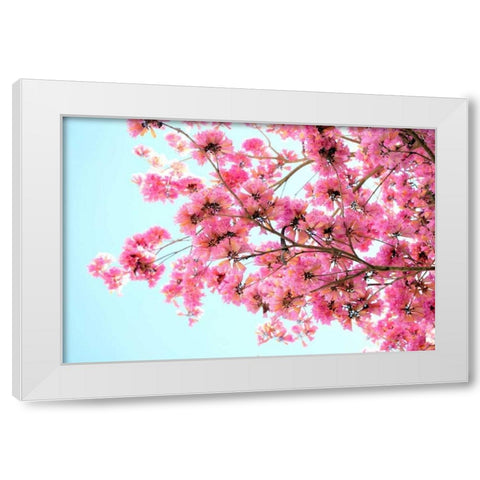 Pink Floral Branch White Modern Wood Framed Art Print by Peck, Gail
