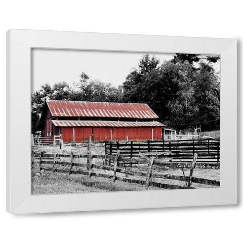 BW Rustic Barn White Modern Wood Framed Art Print by Peck, Gail