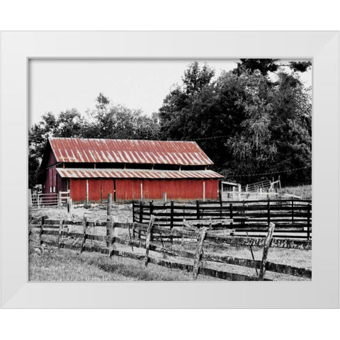 BW Rustic Barn White Modern Wood Framed Art Print by Peck, Gail