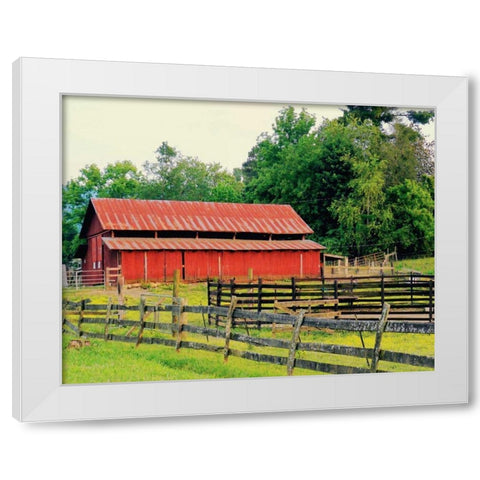 American Suite White Modern Wood Framed Art Print by Peck, Gail