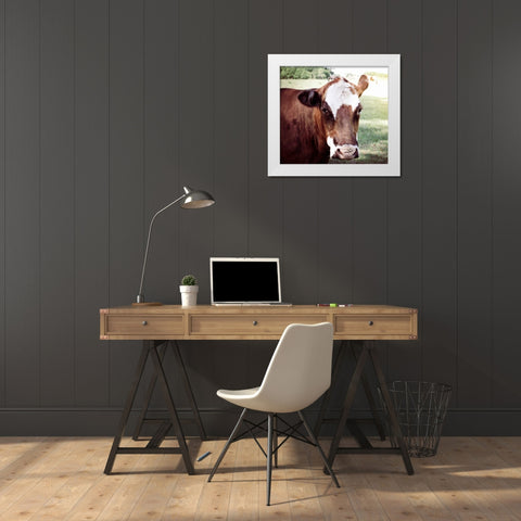 Farm White Modern Wood Framed Art Print by Peck, Gail
