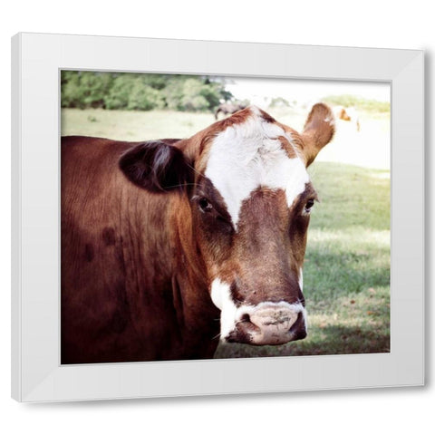 Farm White Modern Wood Framed Art Print by Peck, Gail