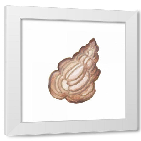 Coastal Icon Coral IX White Modern Wood Framed Art Print by Medley, Elizabeth