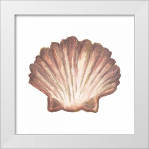 Coastal Icon Coral VI White Modern Wood Framed Art Print by Medley, Elizabeth