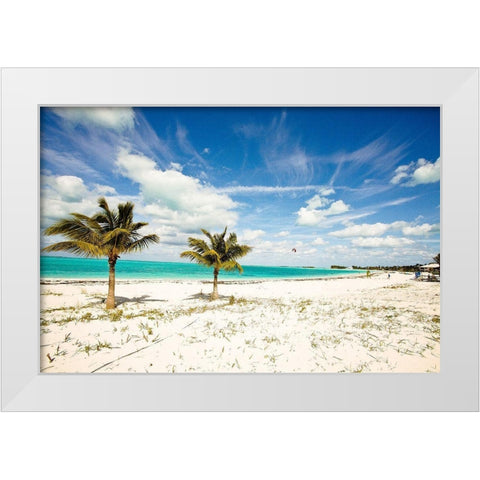Palms and Kites White Modern Wood Framed Art Print by Bryant, Susan