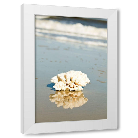 Coral Reflection White Modern Wood Framed Art Print by Bryant, Susan