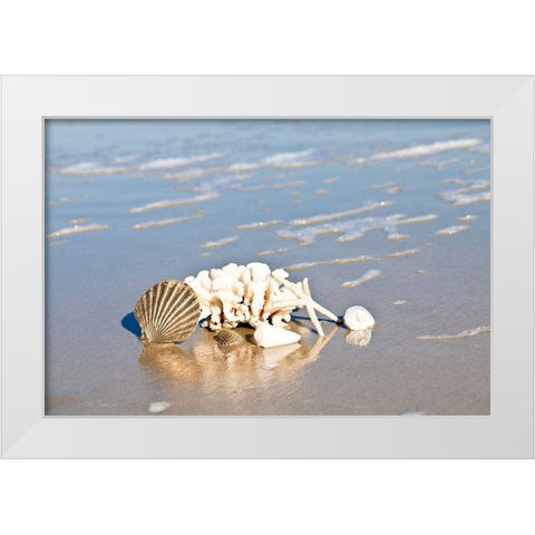 Seashell Reflection White Modern Wood Framed Art Print by Bryant, Susan