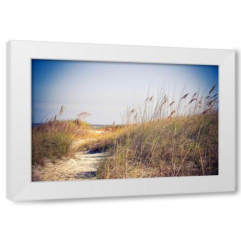 Beach Grass Path White Modern Wood Framed Art Print by Bryant, Susan