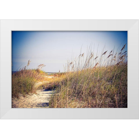 Beach Grass Path White Modern Wood Framed Art Print by Bryant, Susan