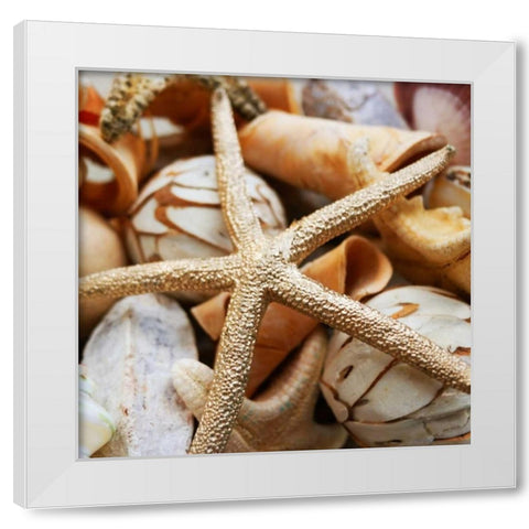 Gold Starfish I White Modern Wood Framed Art Print by Bryant, Susan