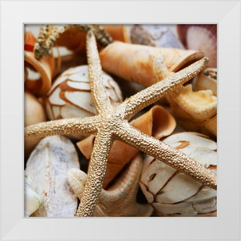 Gold Starfish I White Modern Wood Framed Art Print by Bryant, Susan