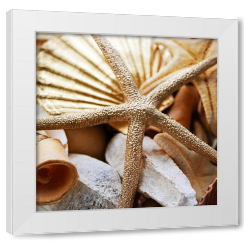 Gold Starfish II White Modern Wood Framed Art Print by Bryant, Susan