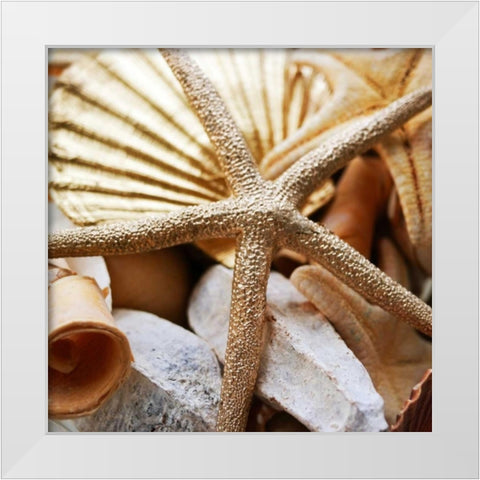 Gold Starfish II White Modern Wood Framed Art Print by Bryant, Susan