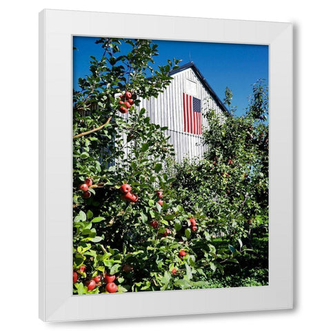 Patriotic Barn White Modern Wood Framed Art Print by Peck, Gail