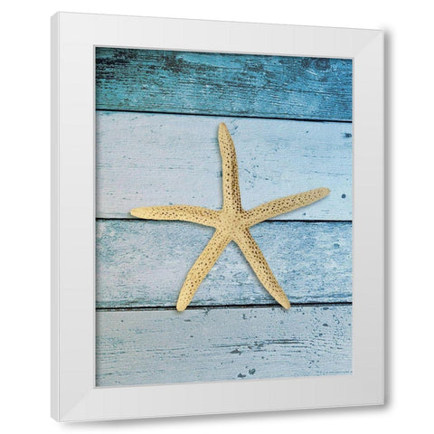 Shell on Blue Wood I White Modern Wood Framed Art Print by Rodriguez, Jairo