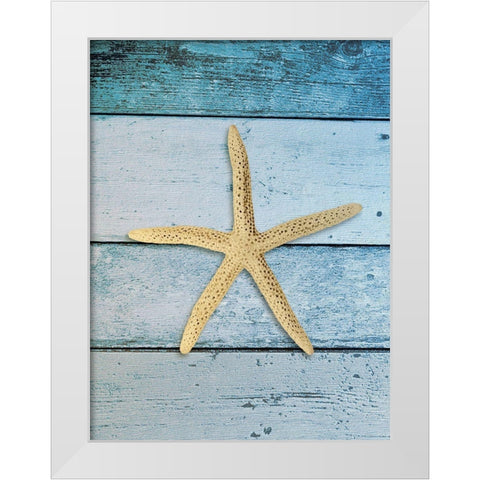 Shell on Blue Wood I White Modern Wood Framed Art Print by Rodriguez, Jairo