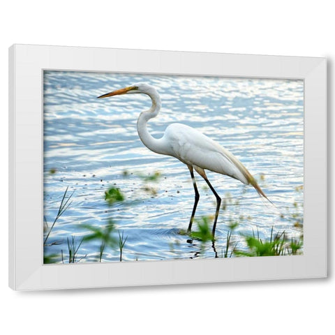 By The Lake Egret White Modern Wood Framed Art Print by Nawrocke, Bruce