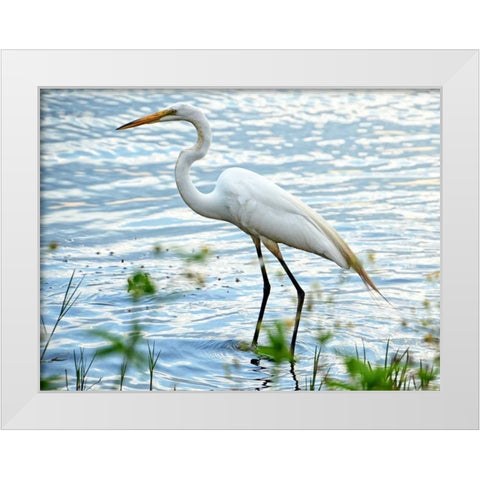 By The Lake Egret White Modern Wood Framed Art Print by Nawrocke, Bruce