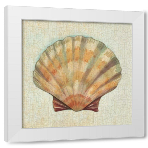 Coastal Treasures I White Modern Wood Framed Art Print by Josefina