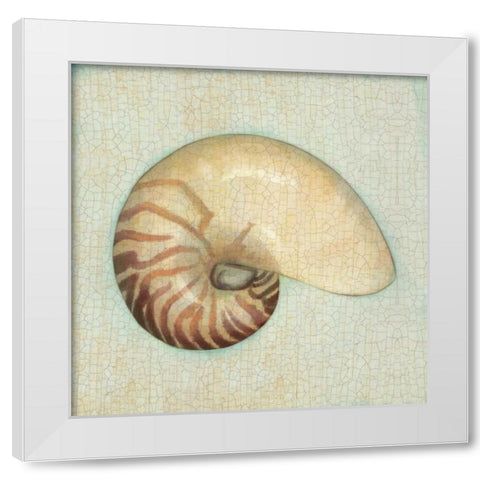 Coastal Treasures III White Modern Wood Framed Art Print by Josefina