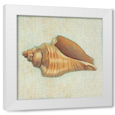Coastal Treasures II White Modern Wood Framed Art Print by Josefina
