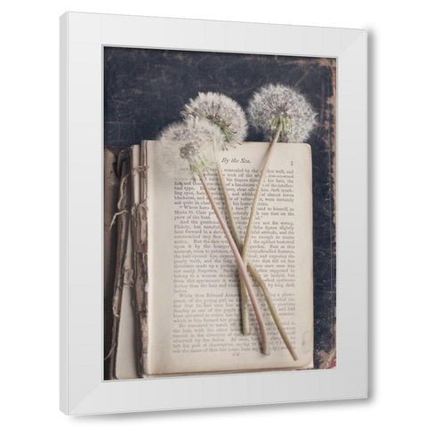 By The Sea (Book) White Modern Wood Framed Art Print by Gardner, Sarah