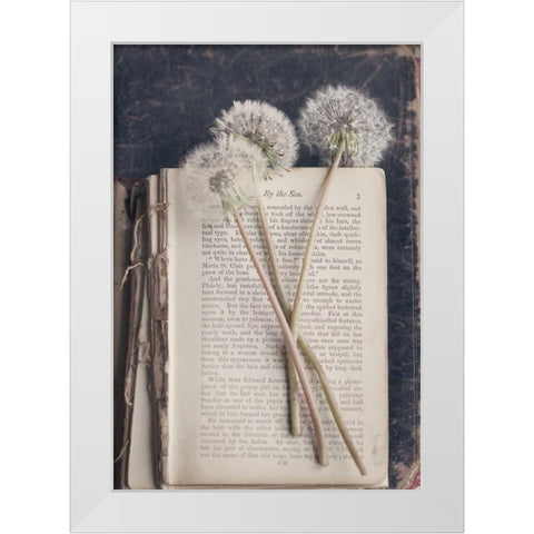 By The Sea (Book) White Modern Wood Framed Art Print by Gardner, Sarah