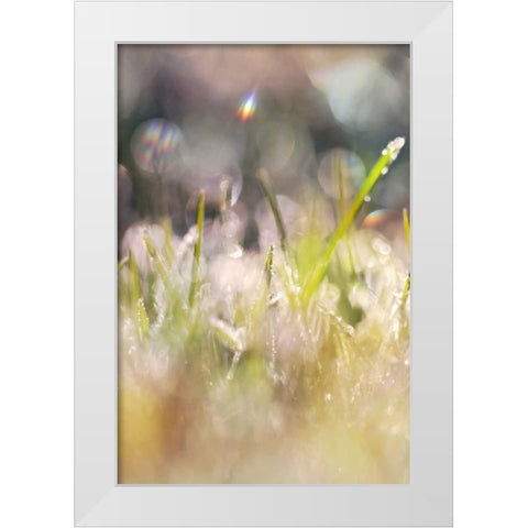 Soft Morning Dew II White Modern Wood Framed Art Print by Gardner, Sarah