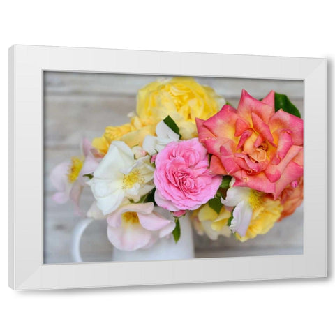 Color Burst White Modern Wood Framed Art Print by Gardner, Sarah