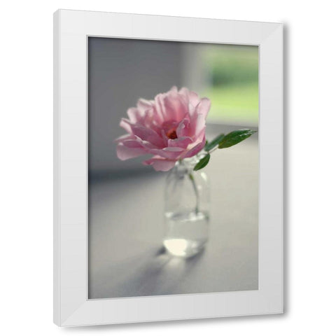 Evening Blooms White Modern Wood Framed Art Print by Gardner, Sarah