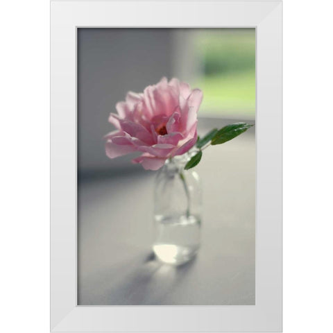 Evening Blooms White Modern Wood Framed Art Print by Gardner, Sarah