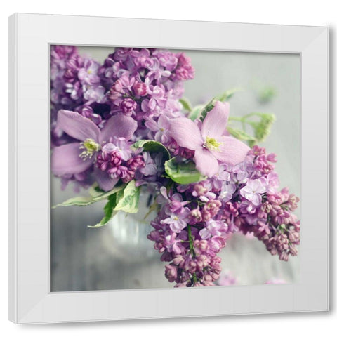 Fresh Morning Bloom White Modern Wood Framed Art Print by Gardner, Sarah