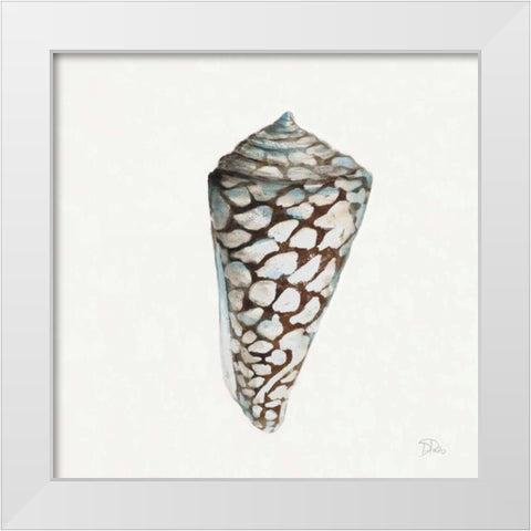 Modern Shell with Teal II White Modern Wood Framed Art Print by Pinto, Patricia