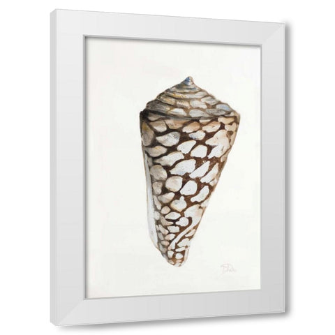 Modern Shell II White Modern Wood Framed Art Print by Pinto, Patricia