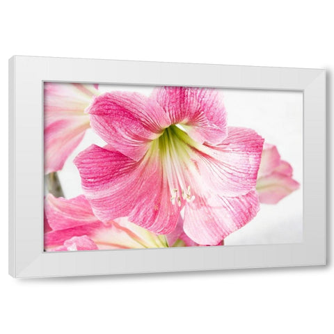 Paradise Blooms White Modern Wood Framed Art Print by Coppel, Anna