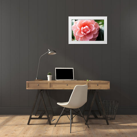 Coral Bloom White Modern Wood Framed Art Print by Coppel, Anna