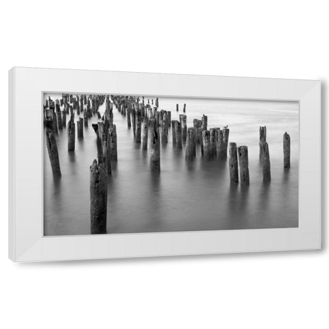 Hudson River Pilings White Modern Wood Framed Art Print by Bill Carson Photography
