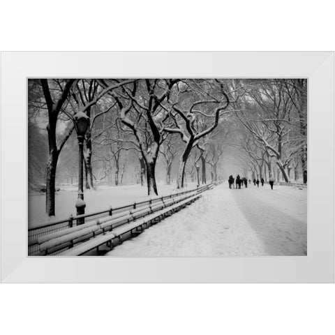Central Park Snow White Modern Wood Framed Art Print by Bill Carson Photography