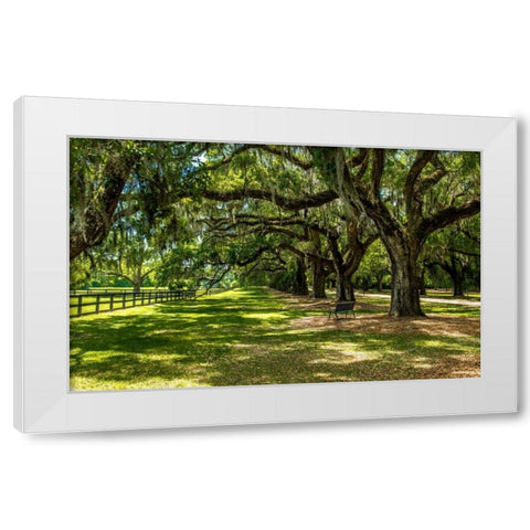 Boone Hall White Modern Wood Framed Art Print by Bill Carson Photography