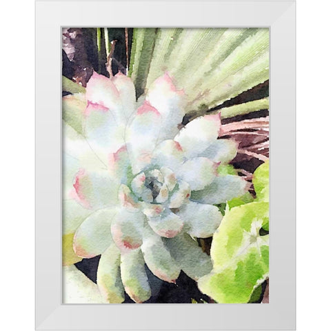 Watercolor Green Succulent White Modern Wood Framed Art Print by James, Nola