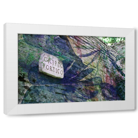 Cripto White Modern Wood Framed Art Print by James, Nola