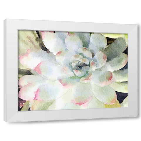 Watercolor Succulent White Modern Wood Framed Art Print by James, Nola