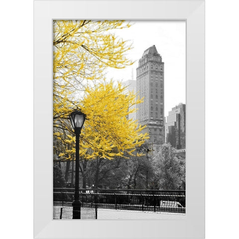 Central Park with Yellow Tree White Modern Wood Framed Art Print by Navas, Emily