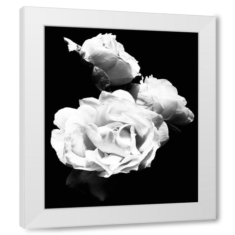 Dramatic Love Blooms  I White Modern Wood Framed Art Print by Navas, Emily
