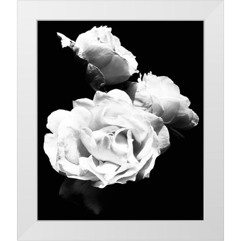 Dramatic Love Blooms  I White Modern Wood Framed Art Print by Navas, Emily