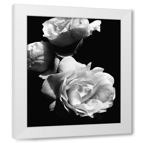 Dramatic Love Blooms II White Modern Wood Framed Art Print by Navas, Emily