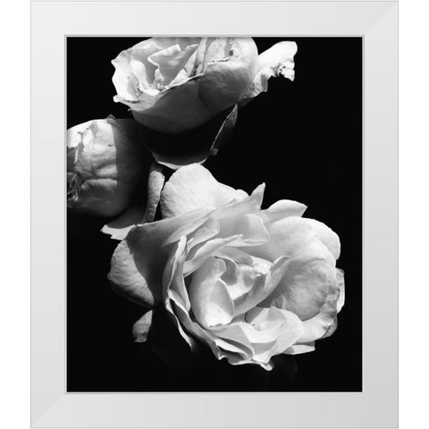 Dramatic Love Blooms II White Modern Wood Framed Art Print by Navas, Emily