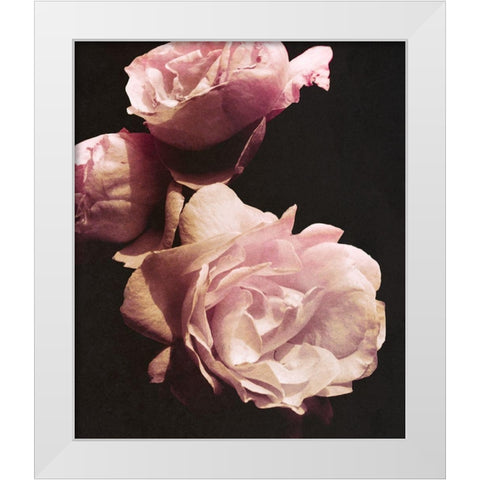 Solitary Bouquet II White Modern Wood Framed Art Print by Navas, Emily